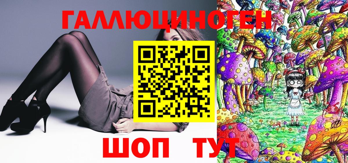 Псилоцибиновые грибы Psilocybe  Вход с VPN  Партизанск 