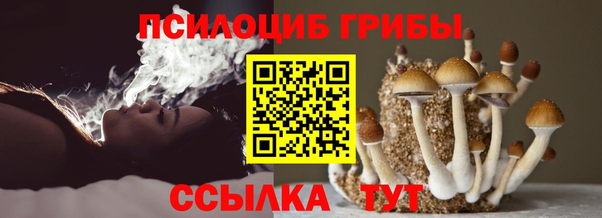 Галлюциногенные грибы мицелий Партизанск